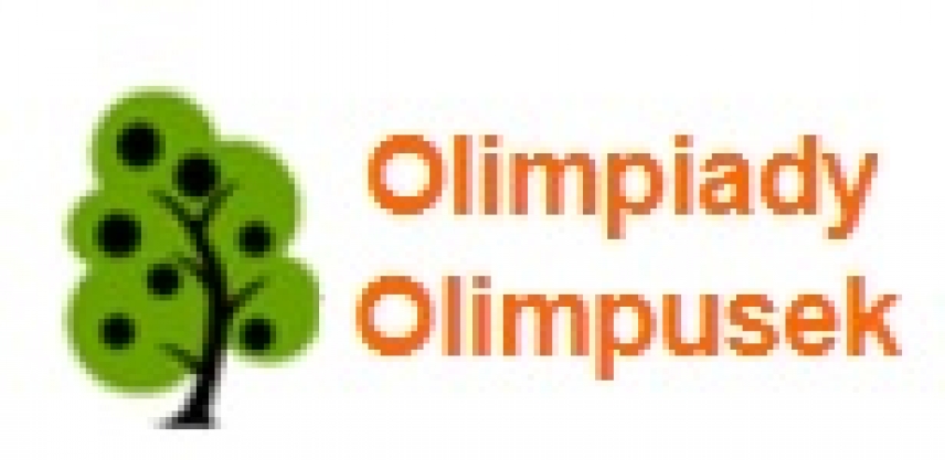 Sukcesy w Ogólnopolskiej Olimpiadzie dla klas I-III &quot;Olimpusek&quot;