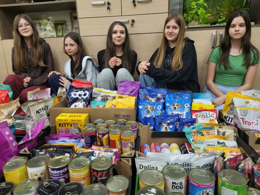 Zbi&oacute;rka karmy dla ps&oacute;w i kot&oacute;w w naszej szkole