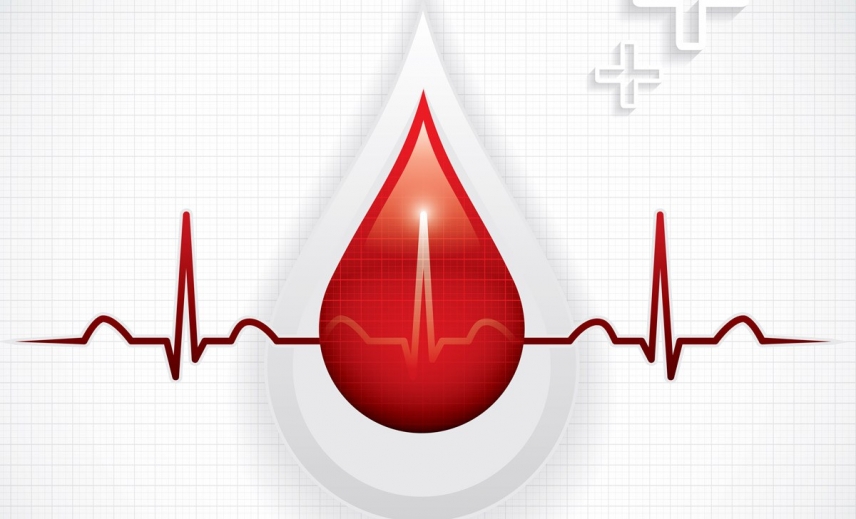 Certyfikat Szkoły Promującej Honorowe Oddawanie Krwi